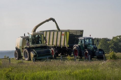 Grasernte mit Häcksler und Traktor