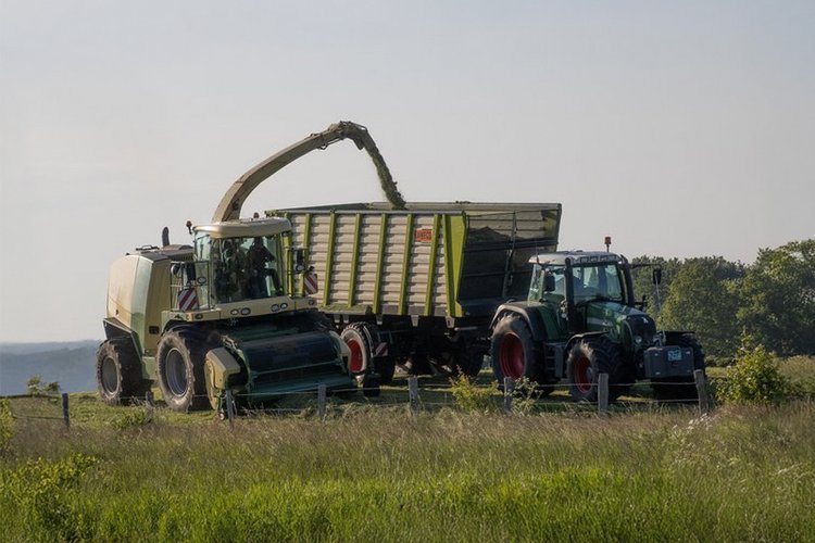 Landwirtschaftliche Erntemaschinen beim Häckseln und Verladen von Gras auf einem Feld