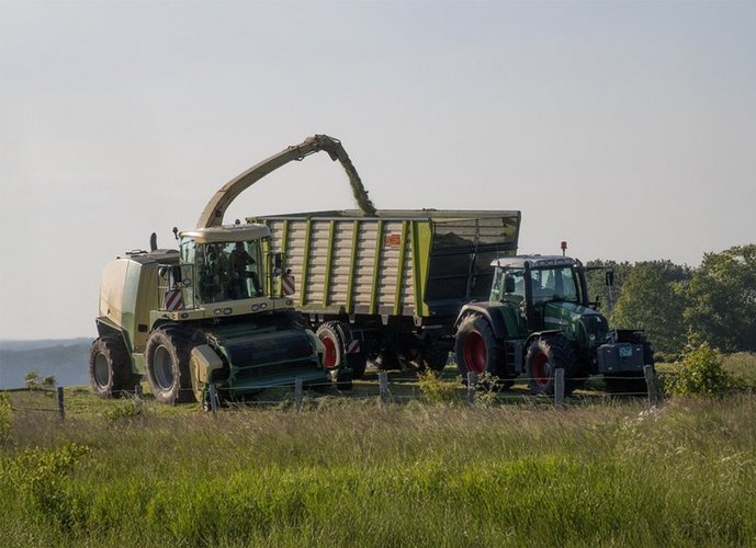 Grasernte mit Häcksler und Traktor Landwirtschaftliche Erntemaschinen beim Häckseln und Verladen von Gras auf einem Feld