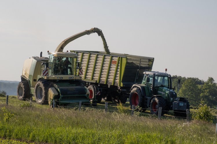 Zwei Landmaschinen ernten ein Feld ab.